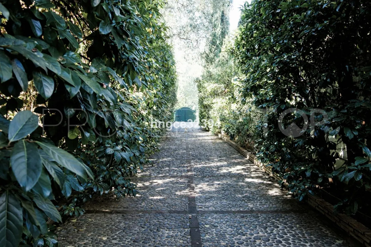 Villa for sale in Sotogrande Costa