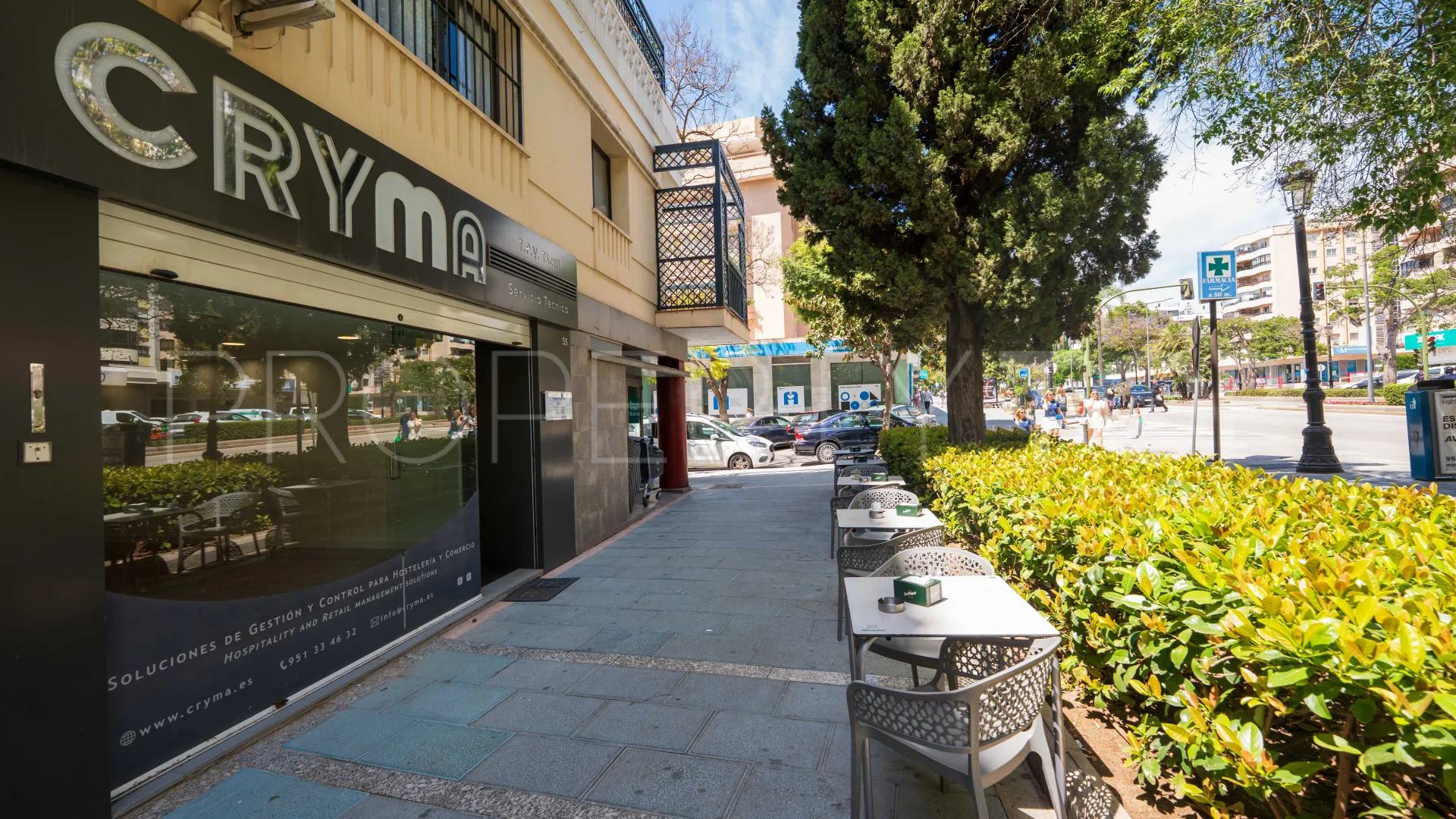 Commercial premises in Ricardo Soriano for sale