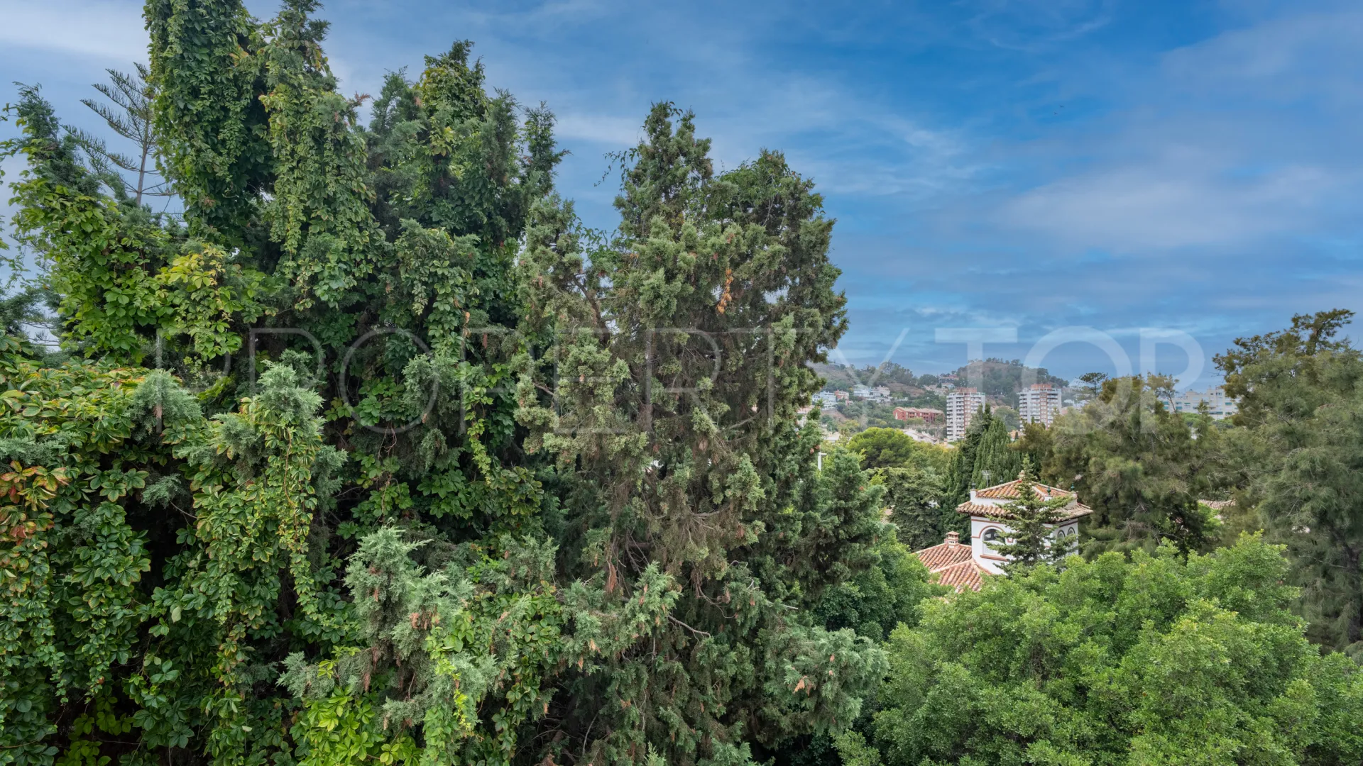 Apartamento a la venta en El Limonar de 4 dormitorios