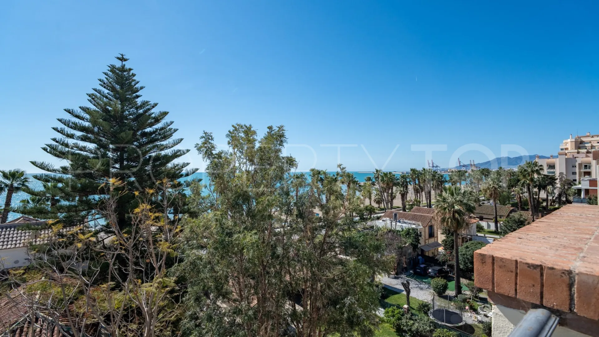 Buy El Limonar duplex