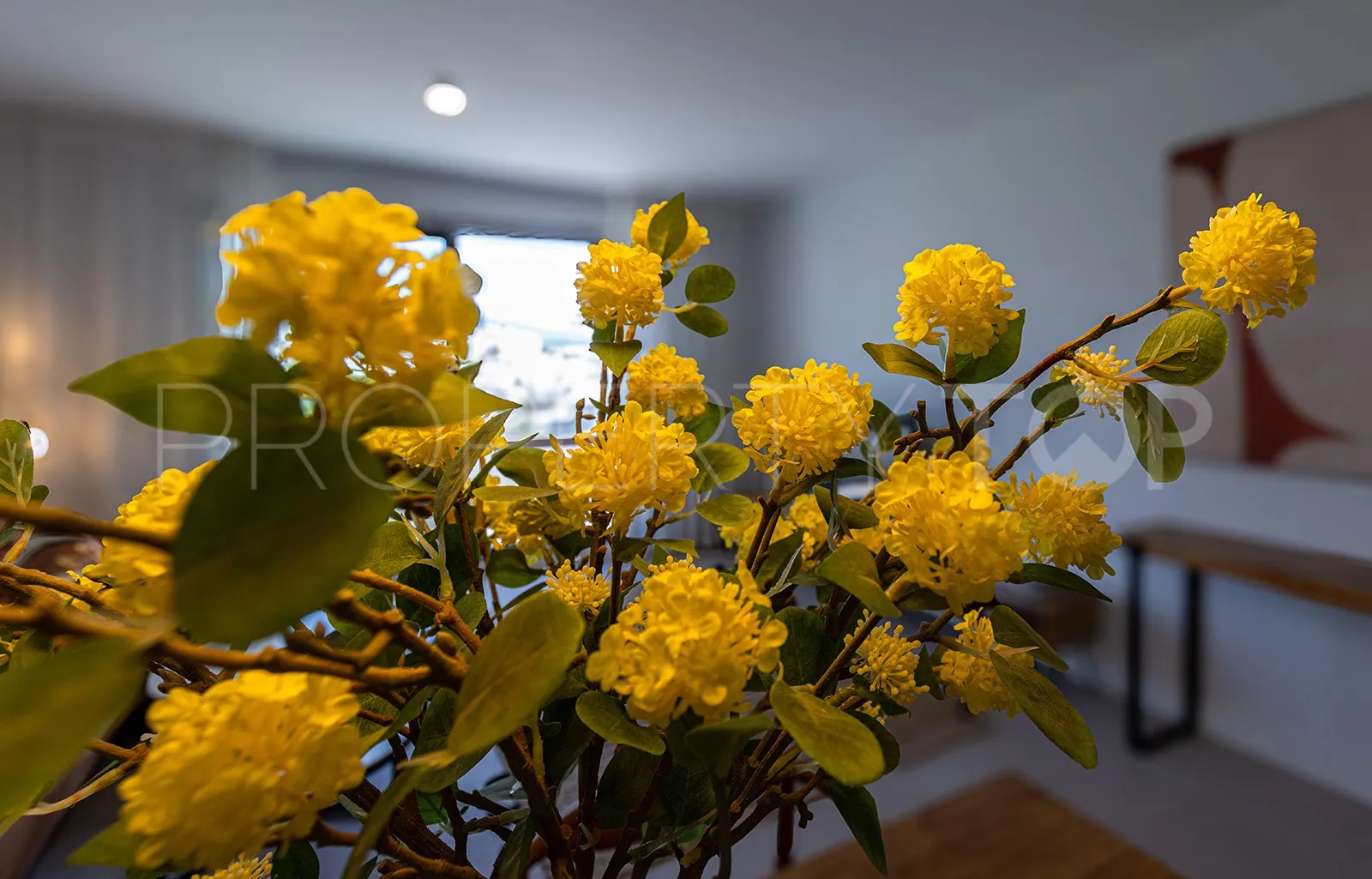 For sale apartment in Las Mesas