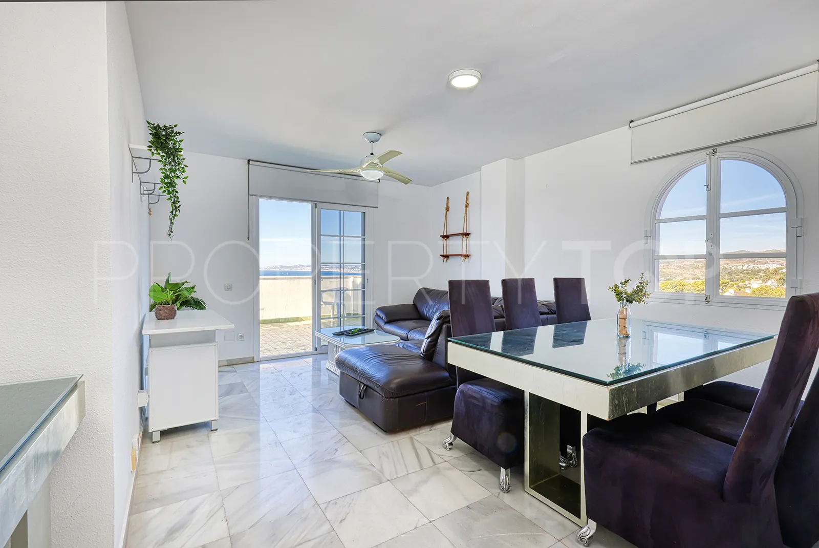 Buy penthouse in Seghers