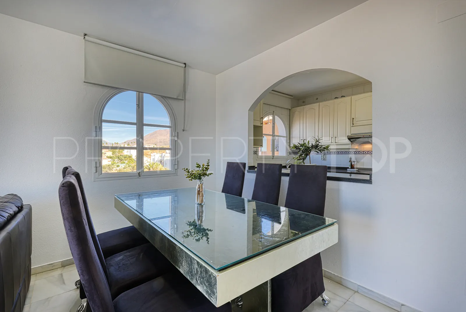 Buy penthouse in Seghers