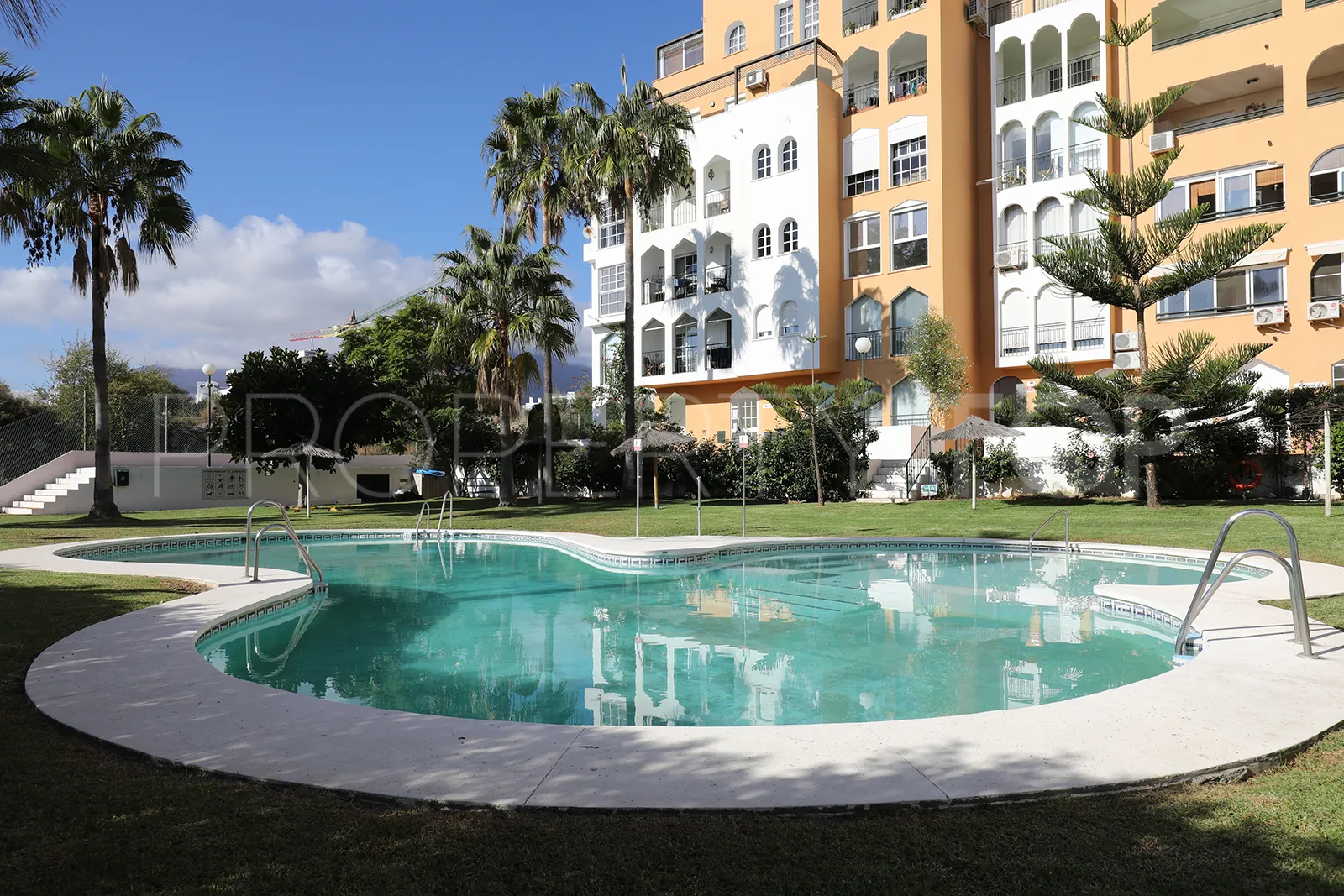Buy penthouse in Seghers