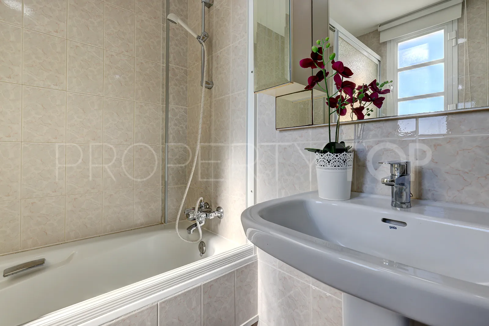 Buy penthouse in Seghers