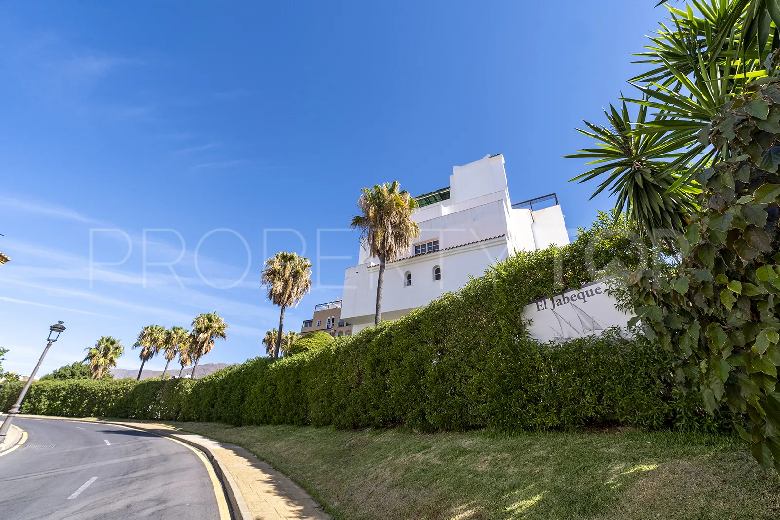 Buy penthouse in Seghers