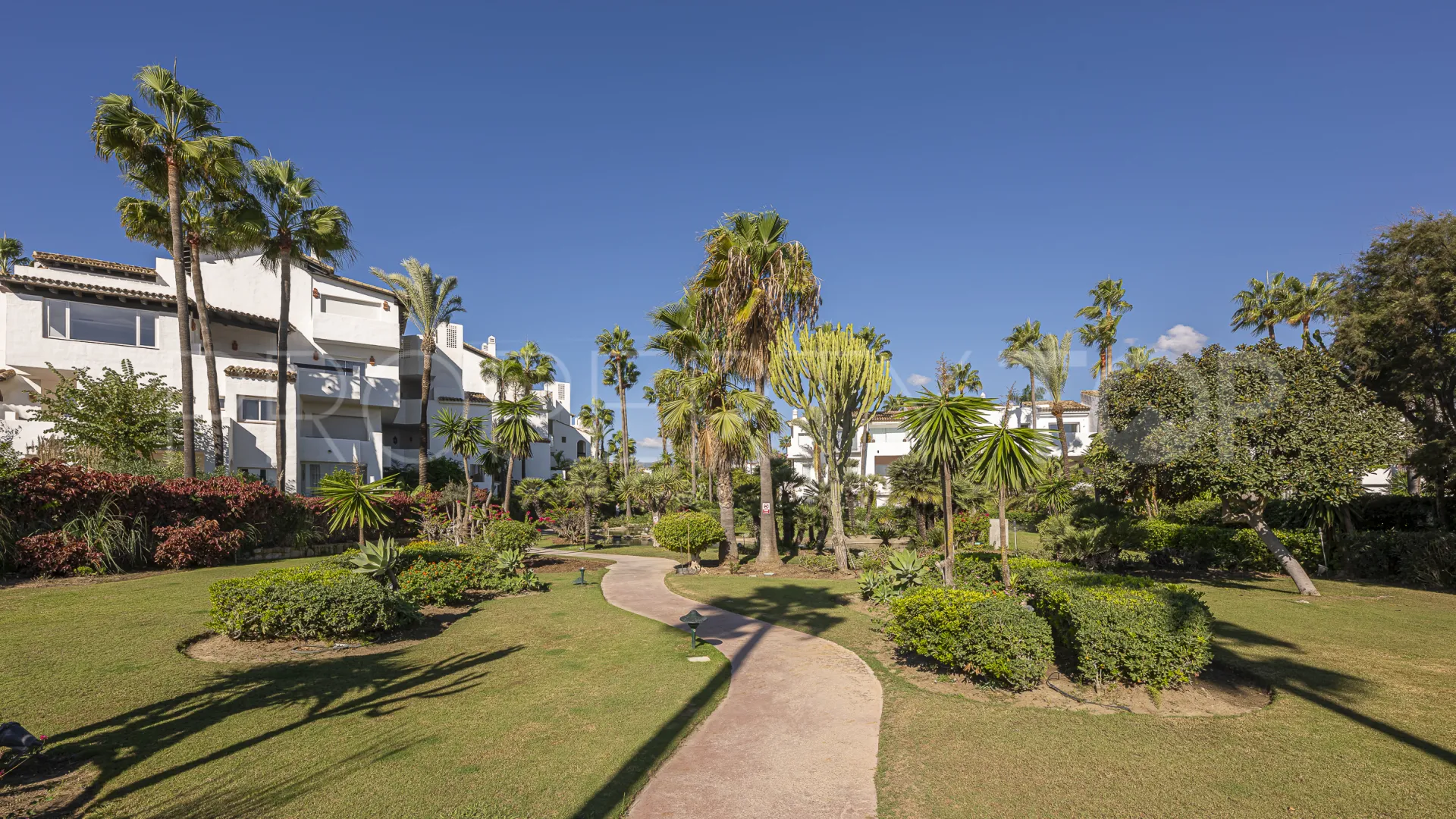 Apartamento en venta en New Golden Mile