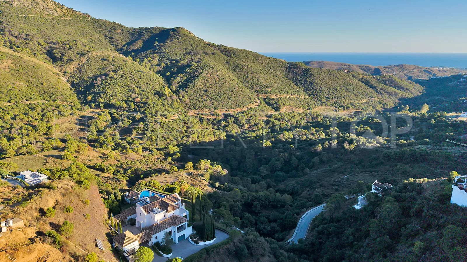 Benahavis villa for sale
