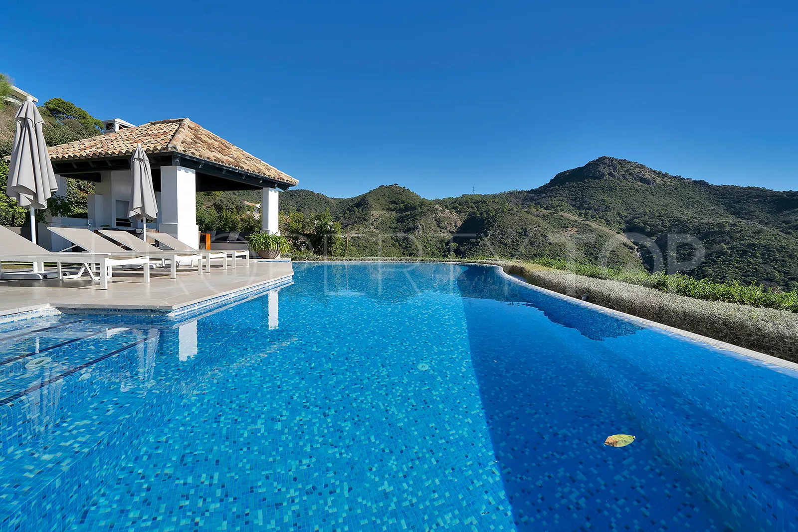 Benahavis villa for sale