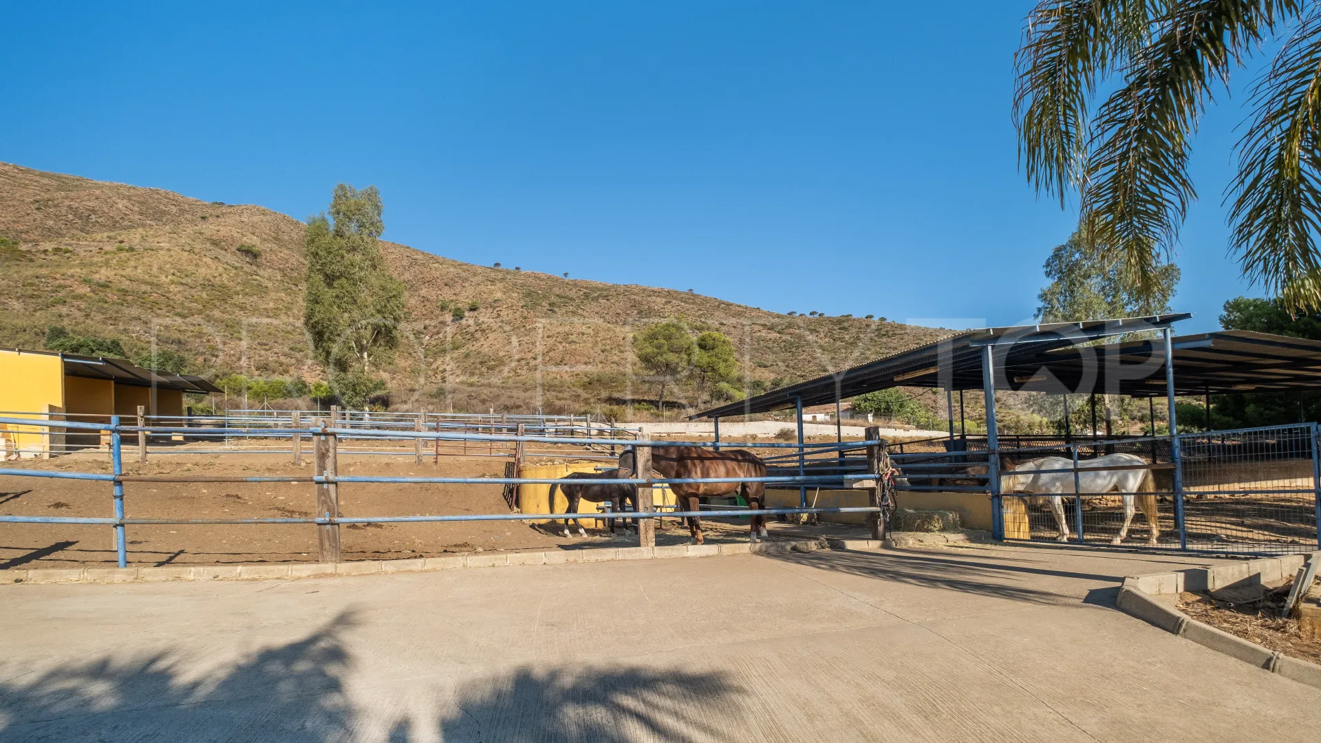 6 bedrooms finca in Mijas Costa for sale