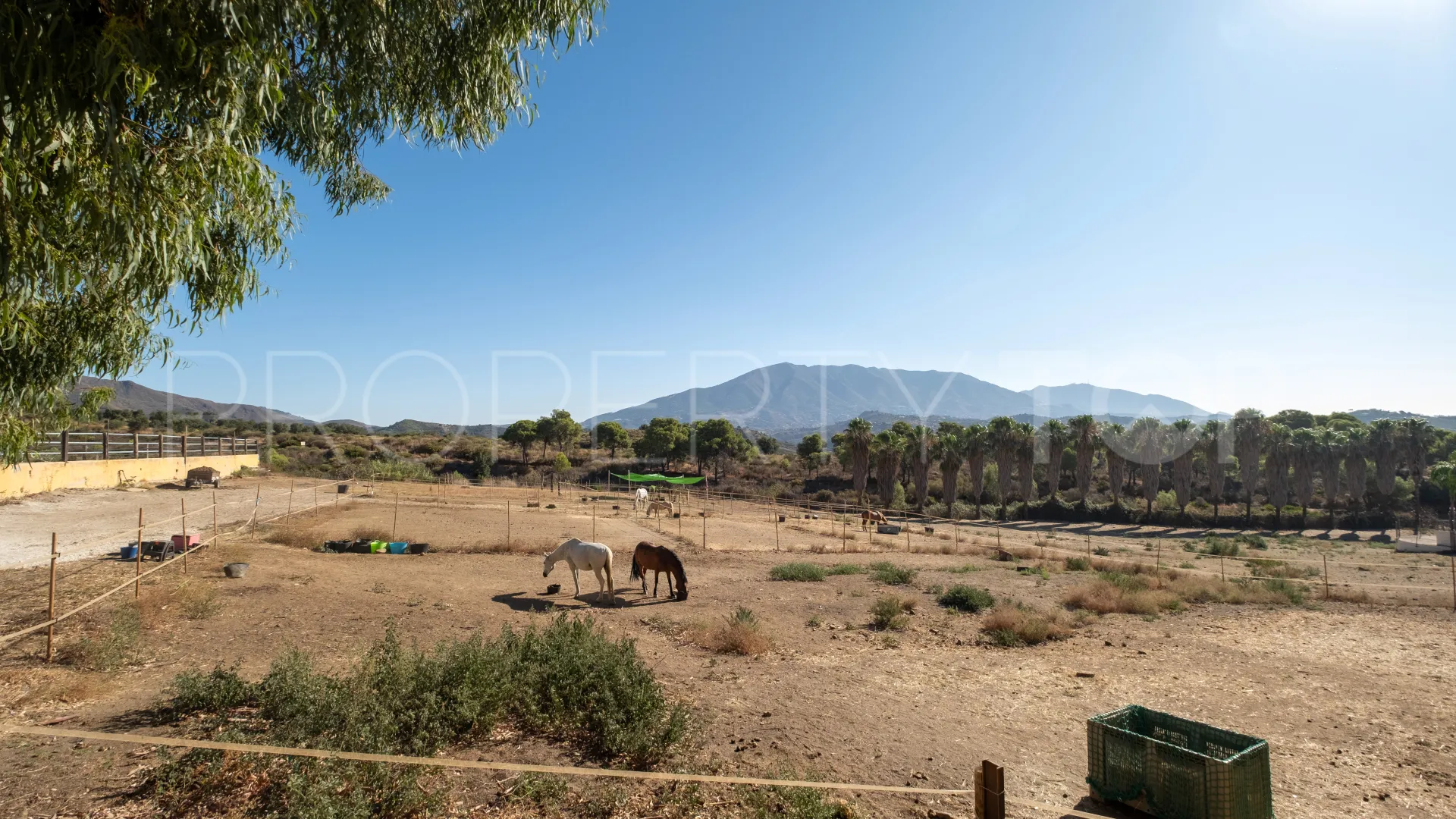 6 bedrooms finca in Mijas Costa for sale