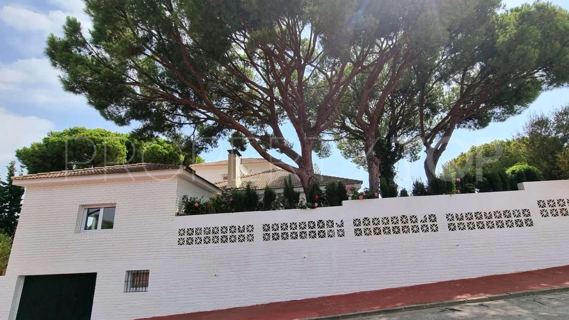 Buy villa in Calahonda