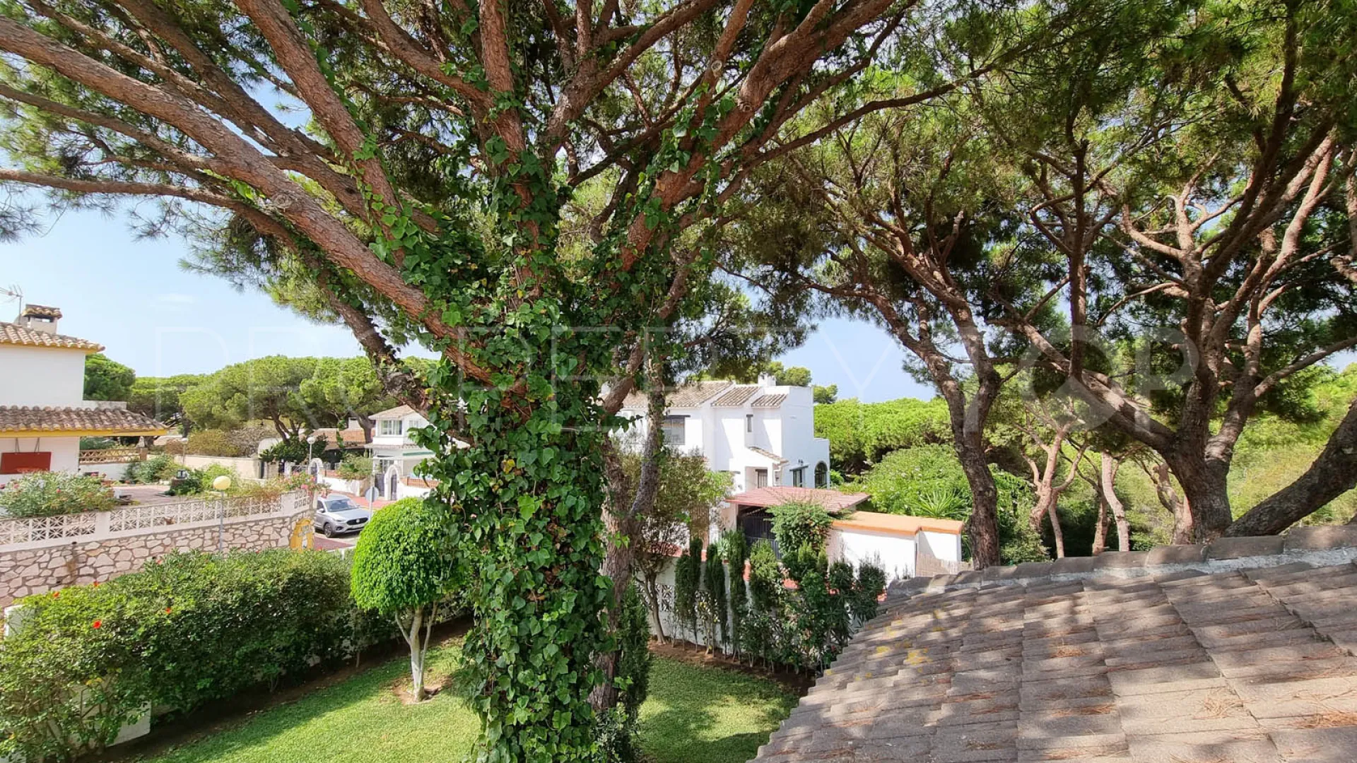 Buy villa in Calahonda