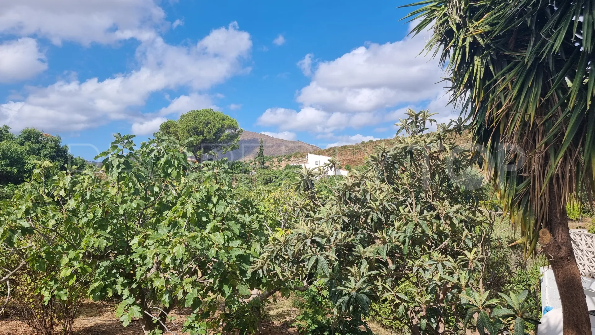 2 bedrooms finca in Entrerrios for sale