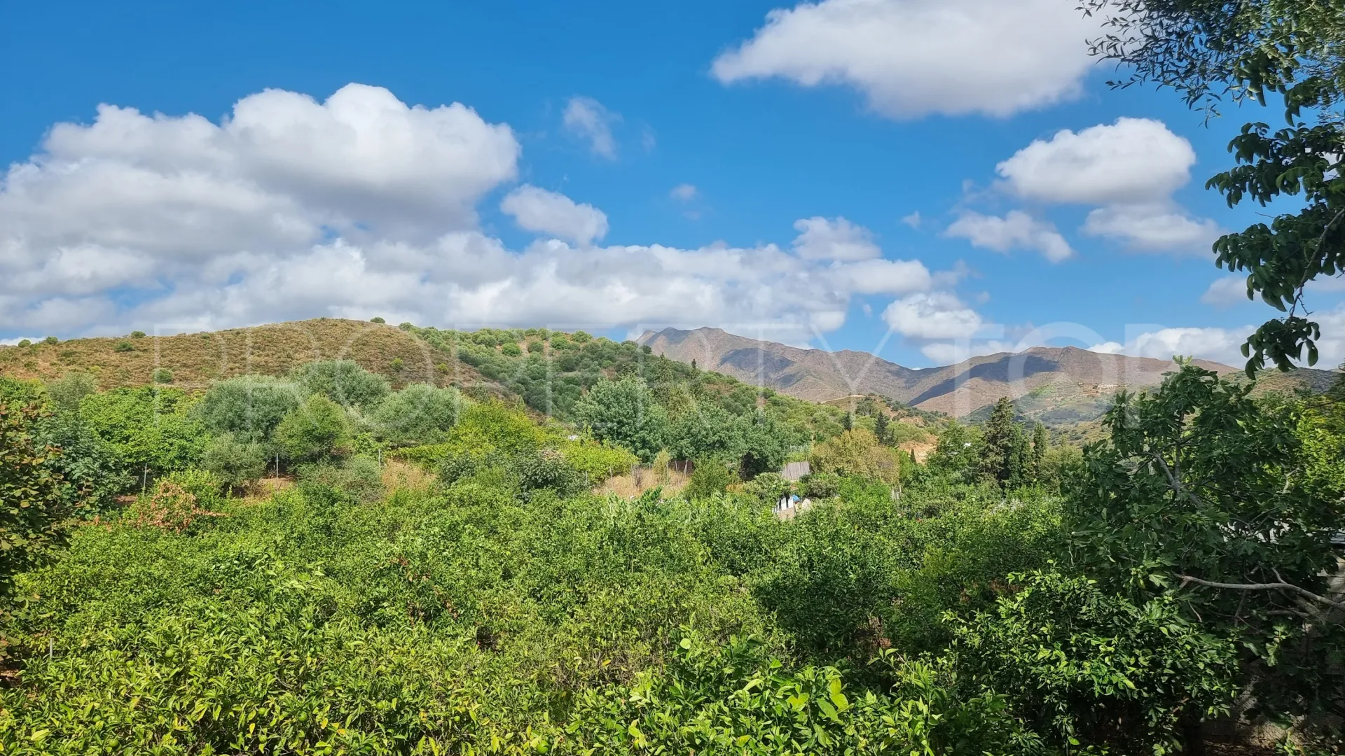 2 bedrooms finca in Entrerrios for sale