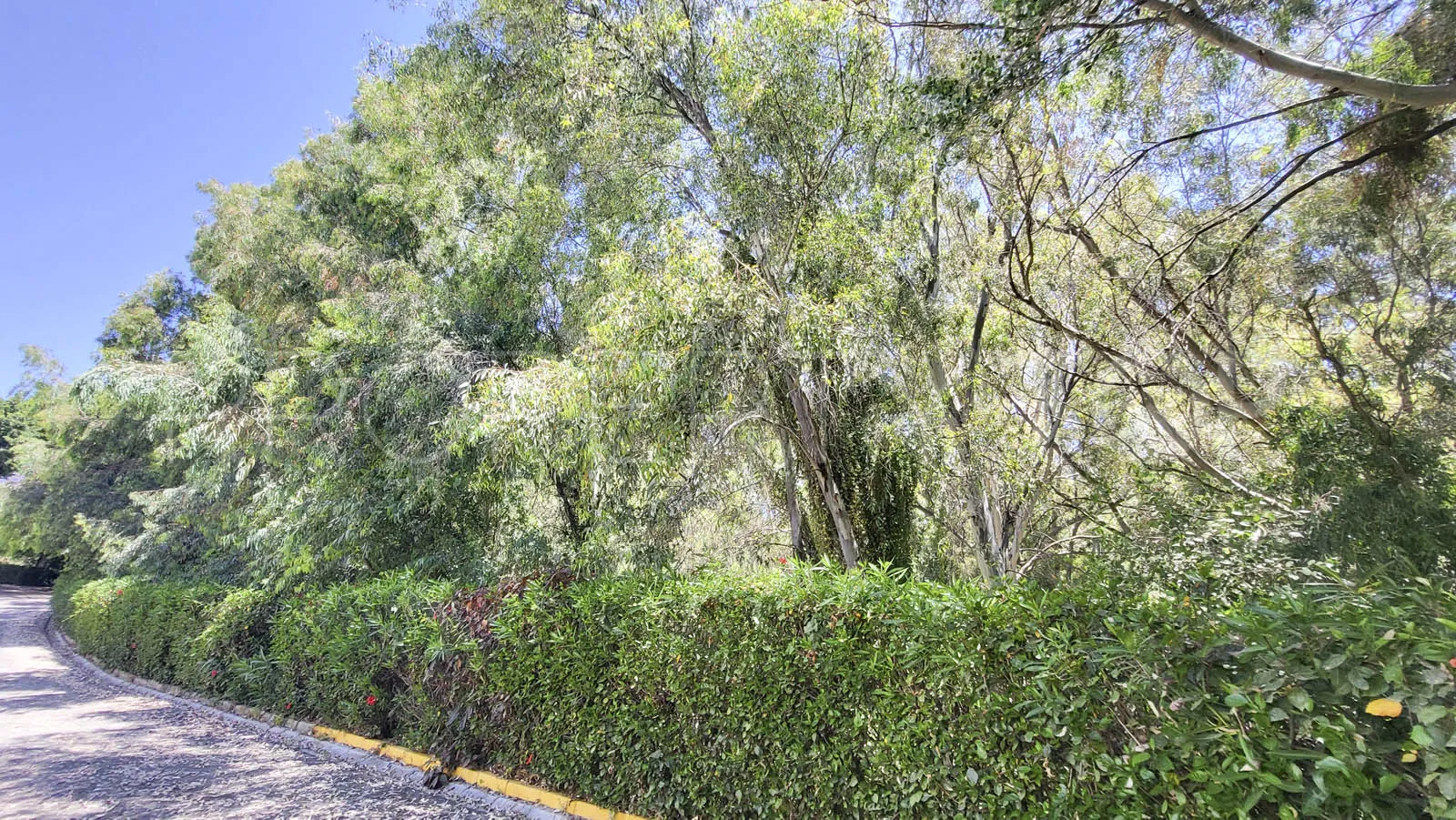 Se vende apartamento en Calahonda