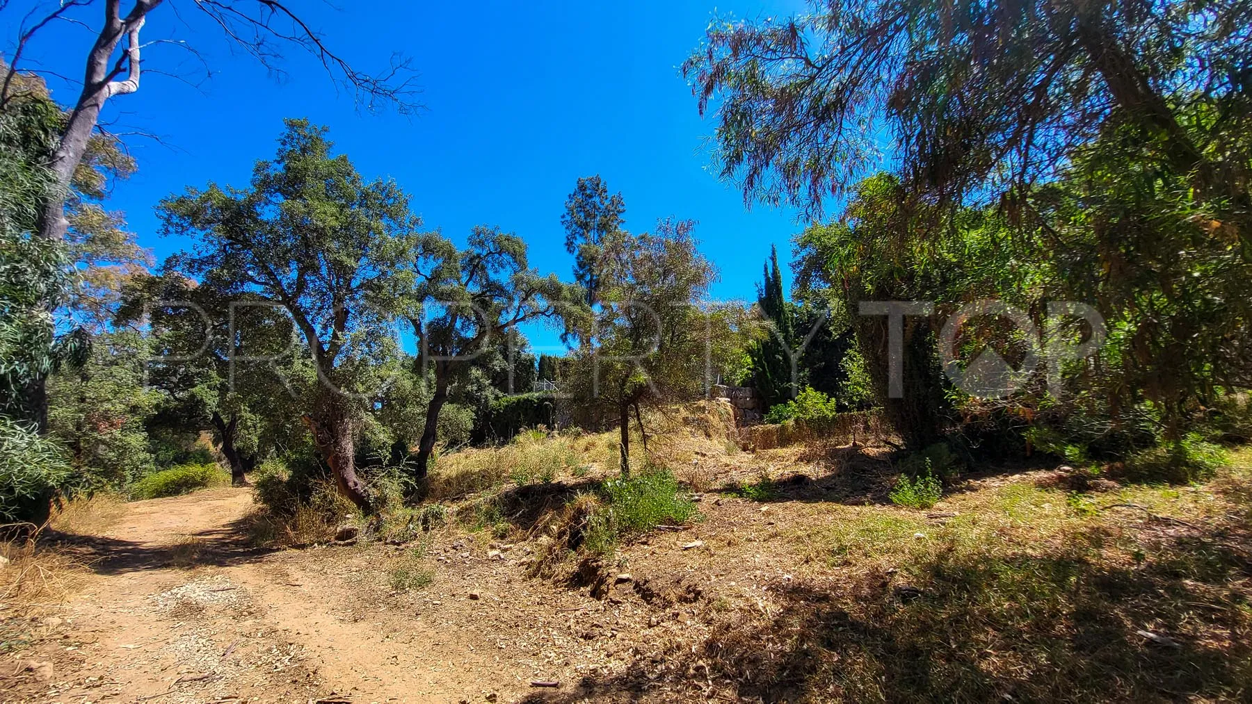 Comprar villa en Elviria