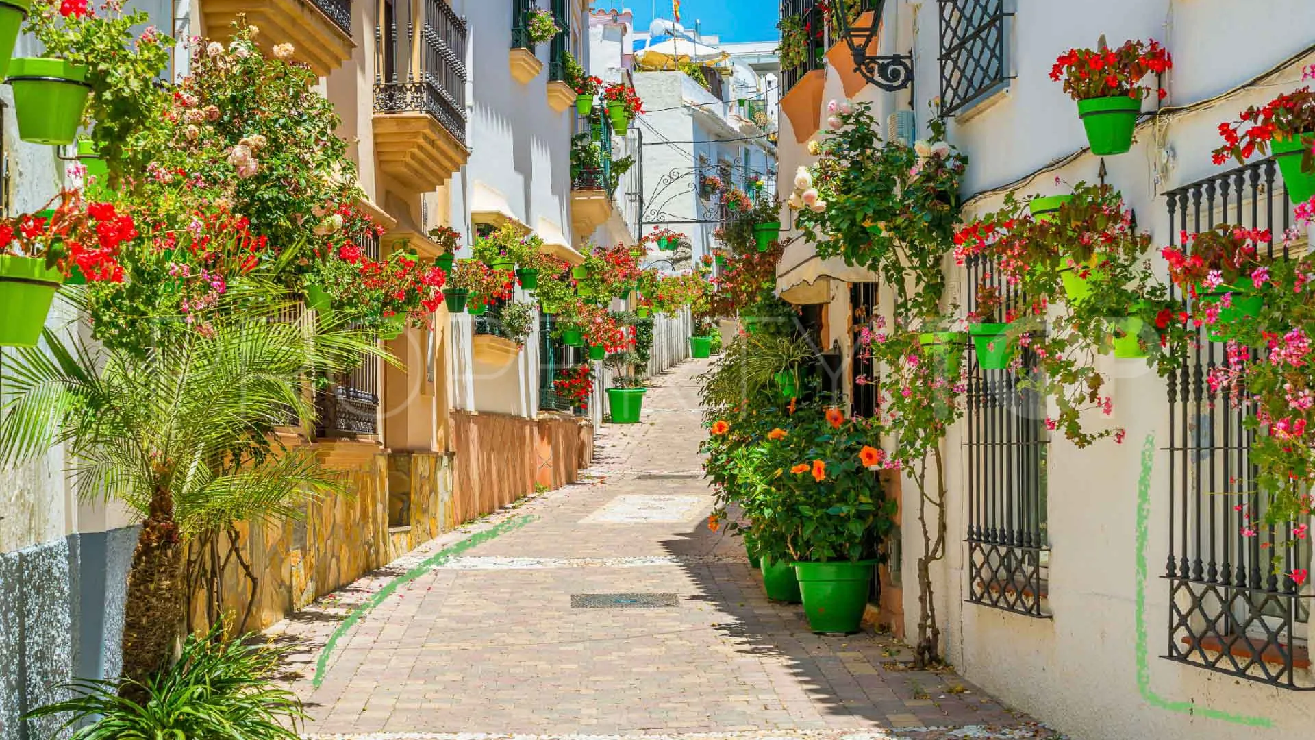 Costalita del Mar apartment for sale