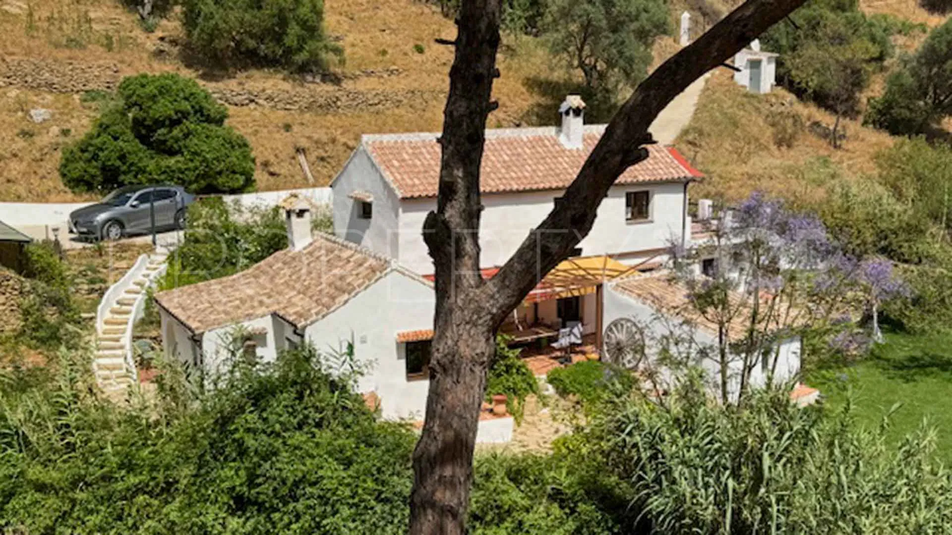 Casares, finca en venta