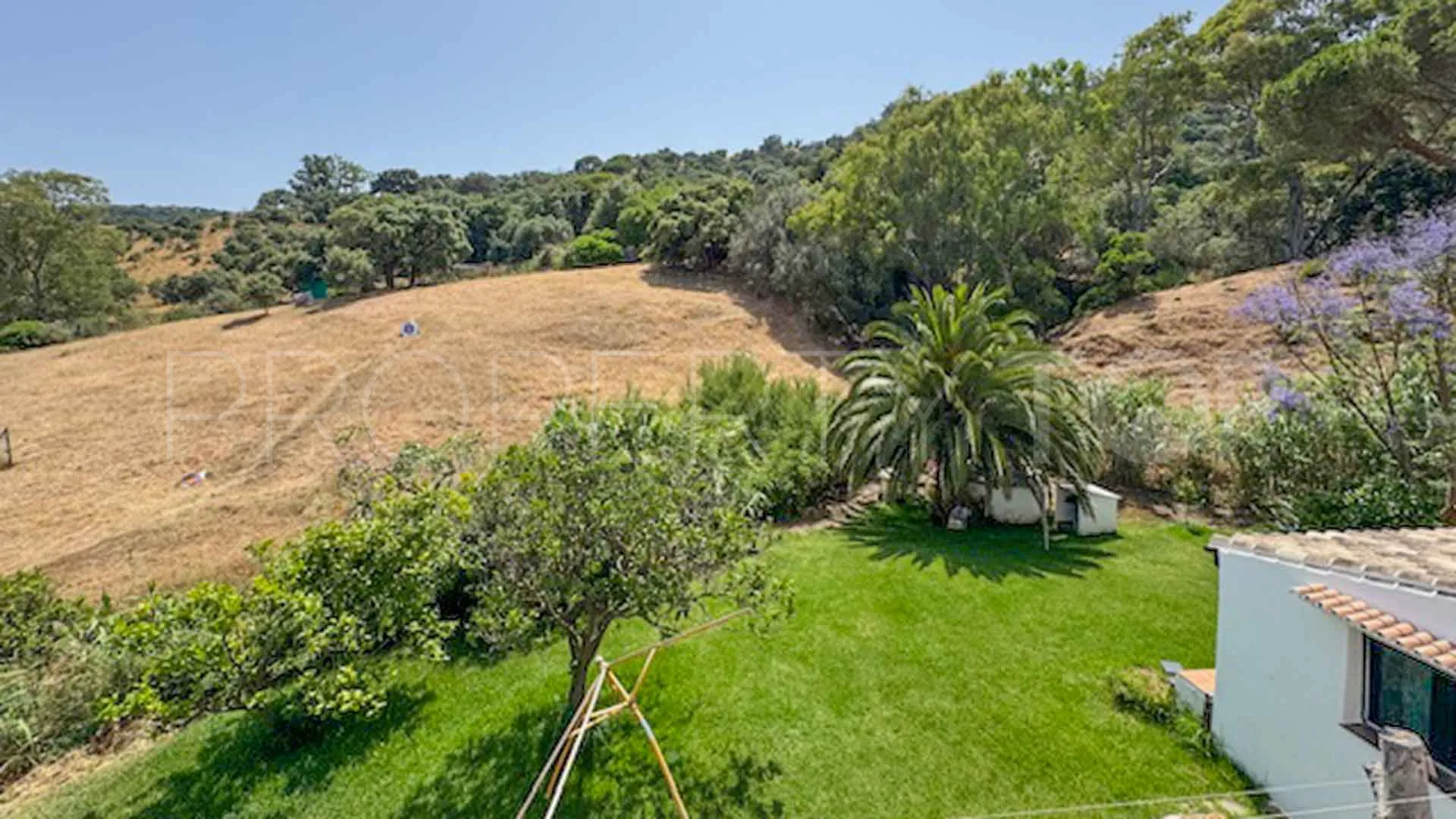 Casares, finca en venta
