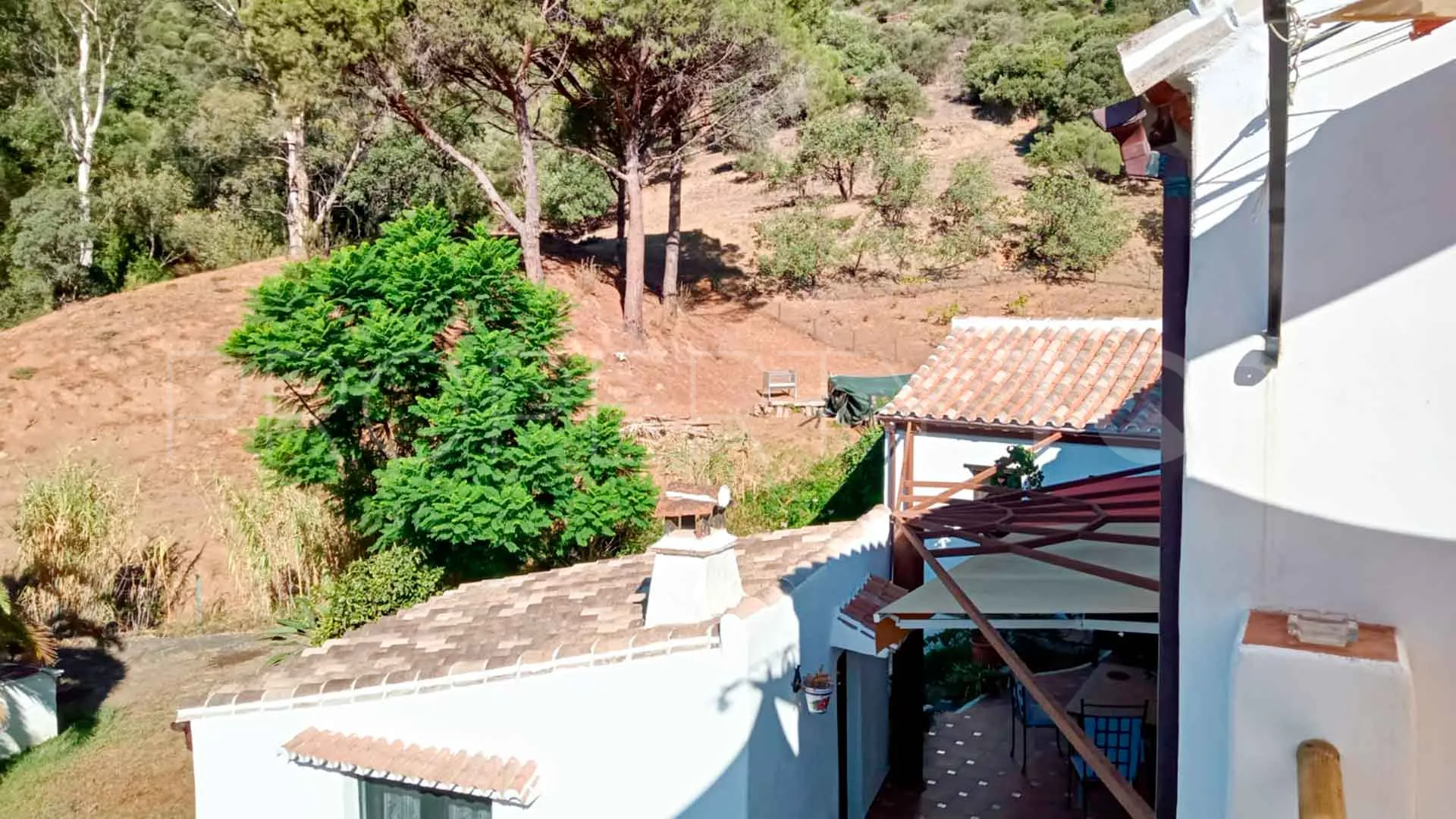Casares, finca en venta