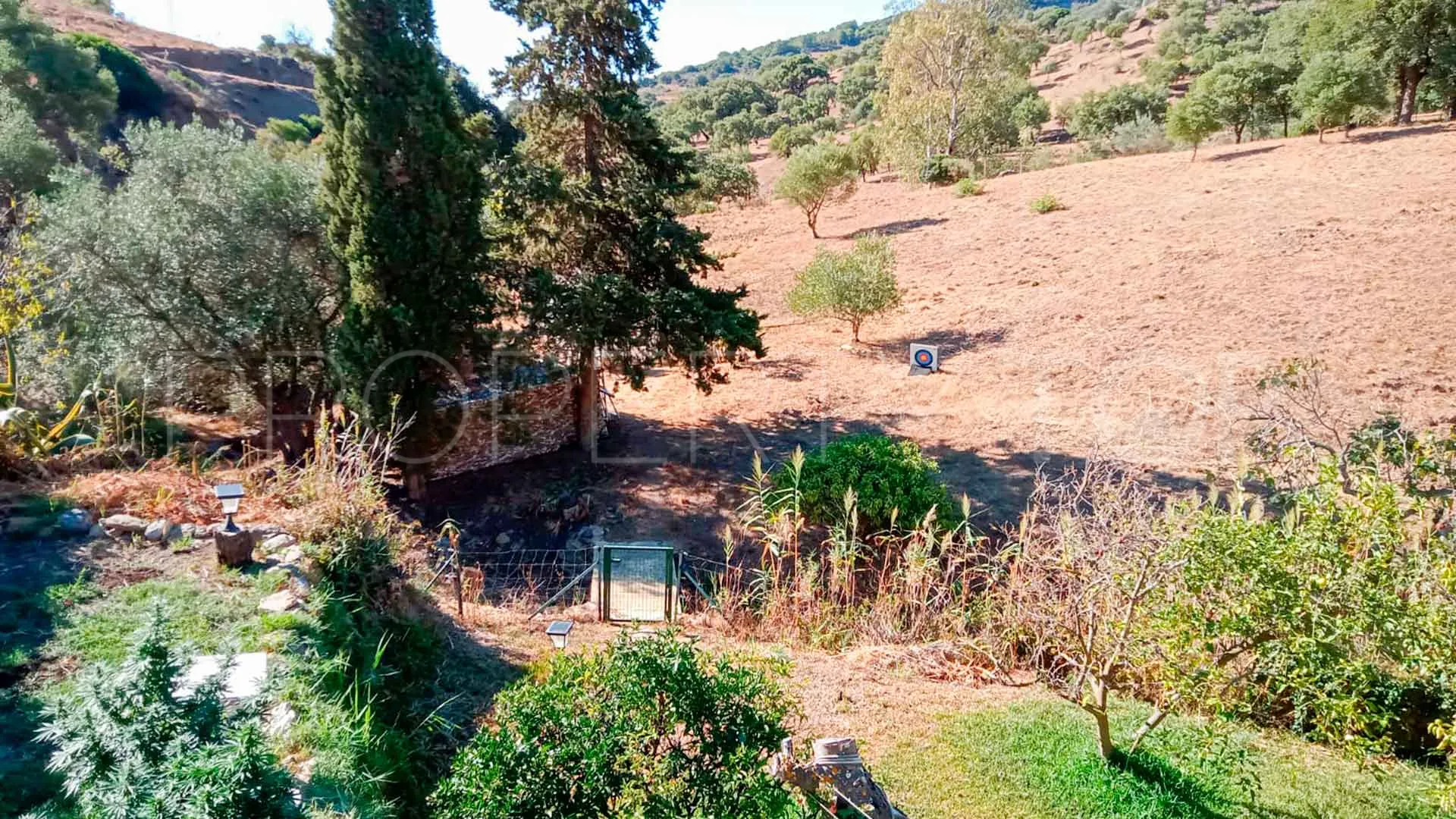 Casares, finca en venta