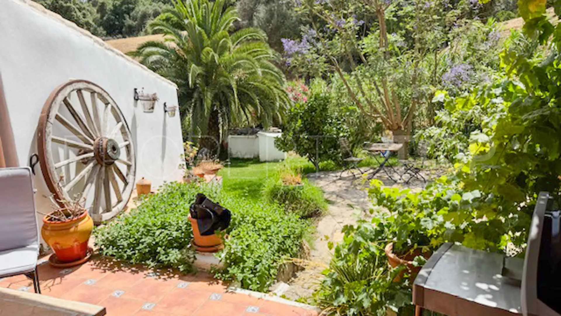 Casares, finca en venta