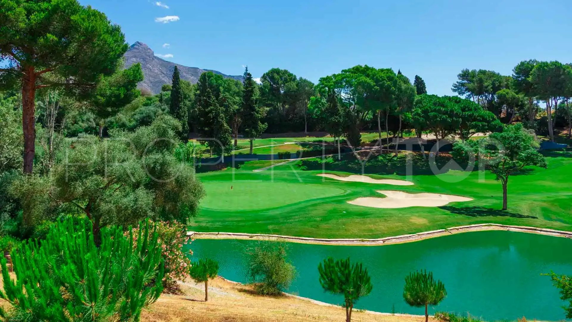 Benahavis villa for sale