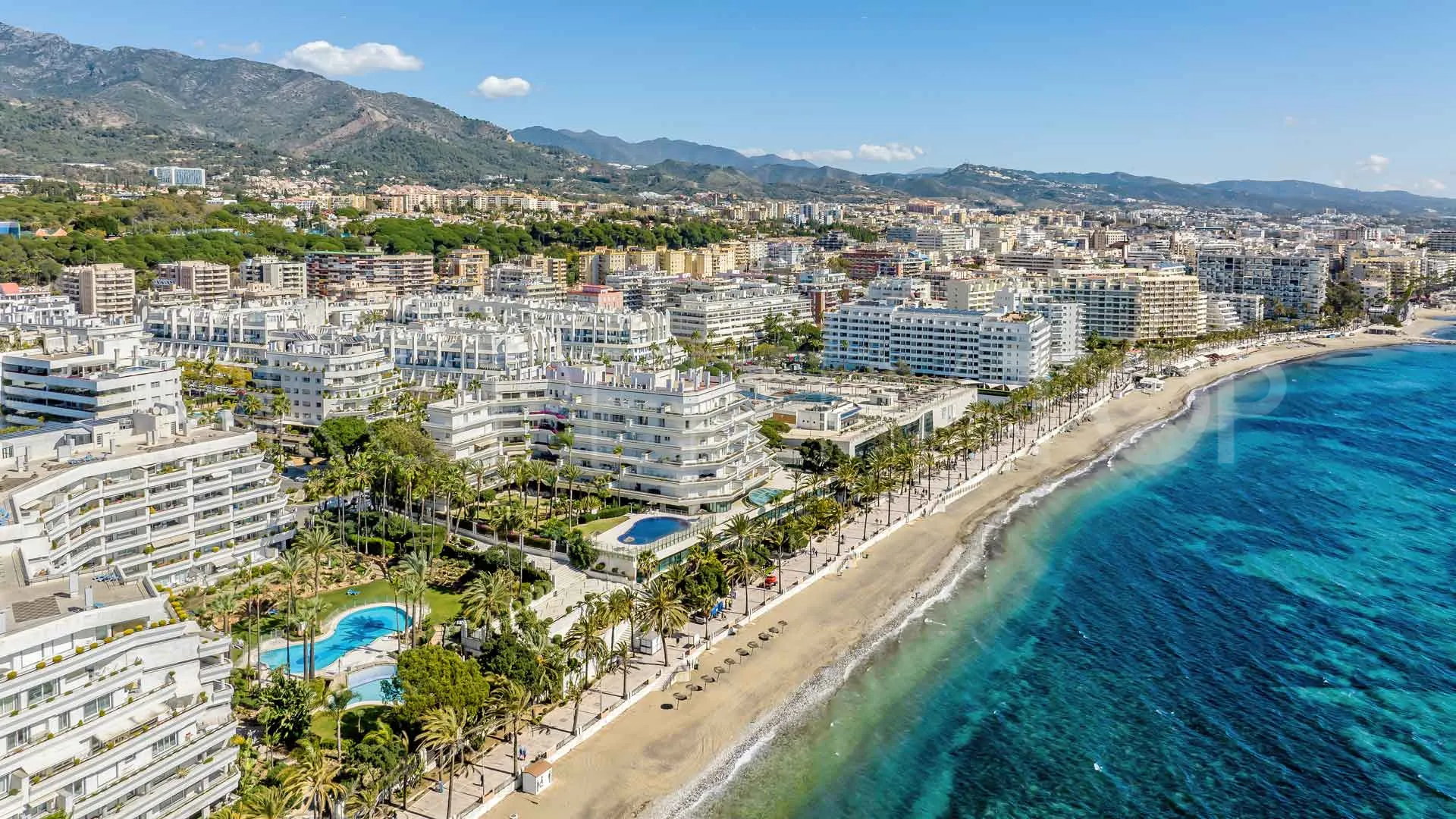 Business for sale in Marbella City