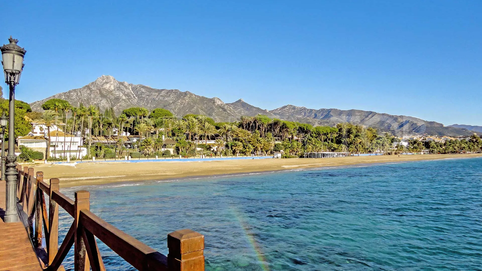Business for sale in Marbella City