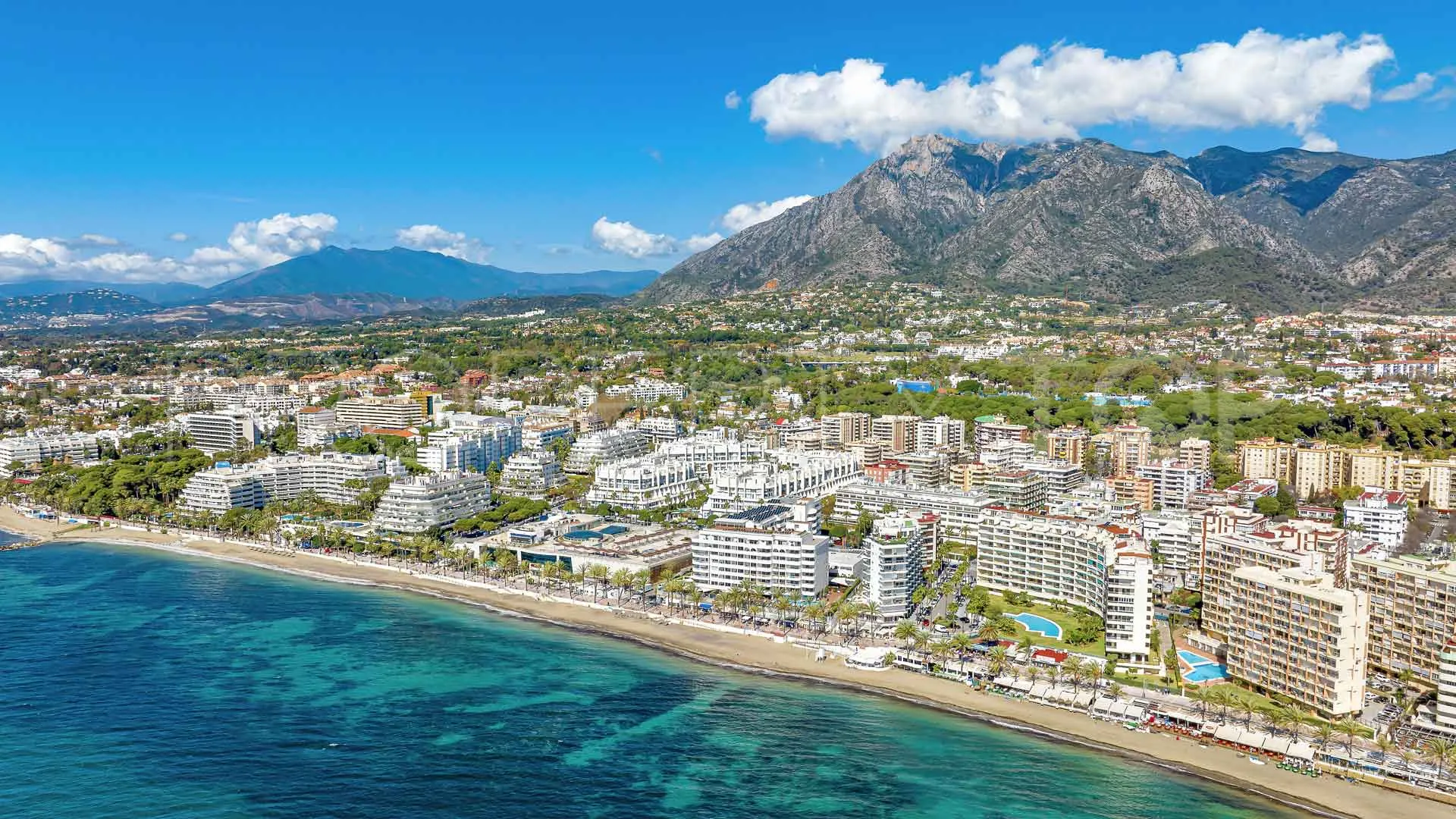 Business for sale in Marbella City