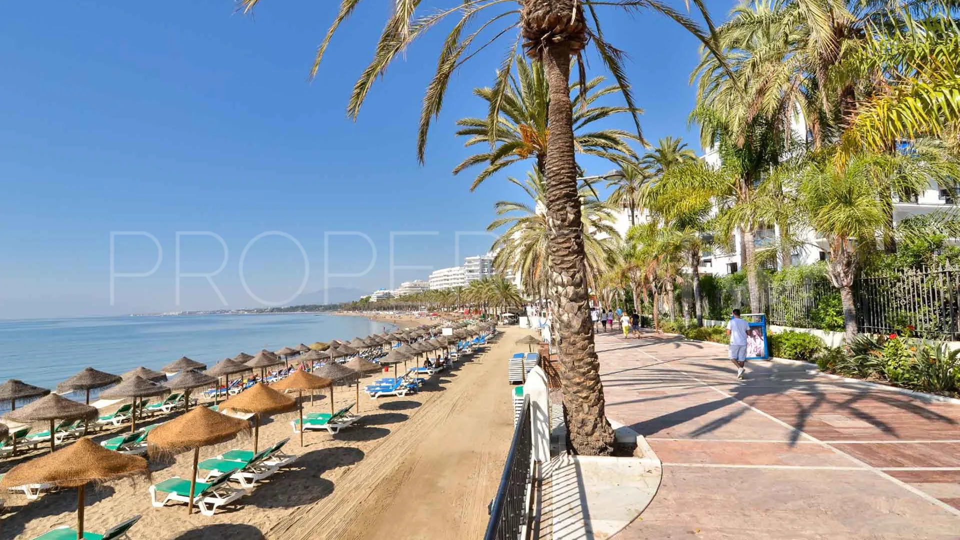 For sale office in Ricardo Soriano