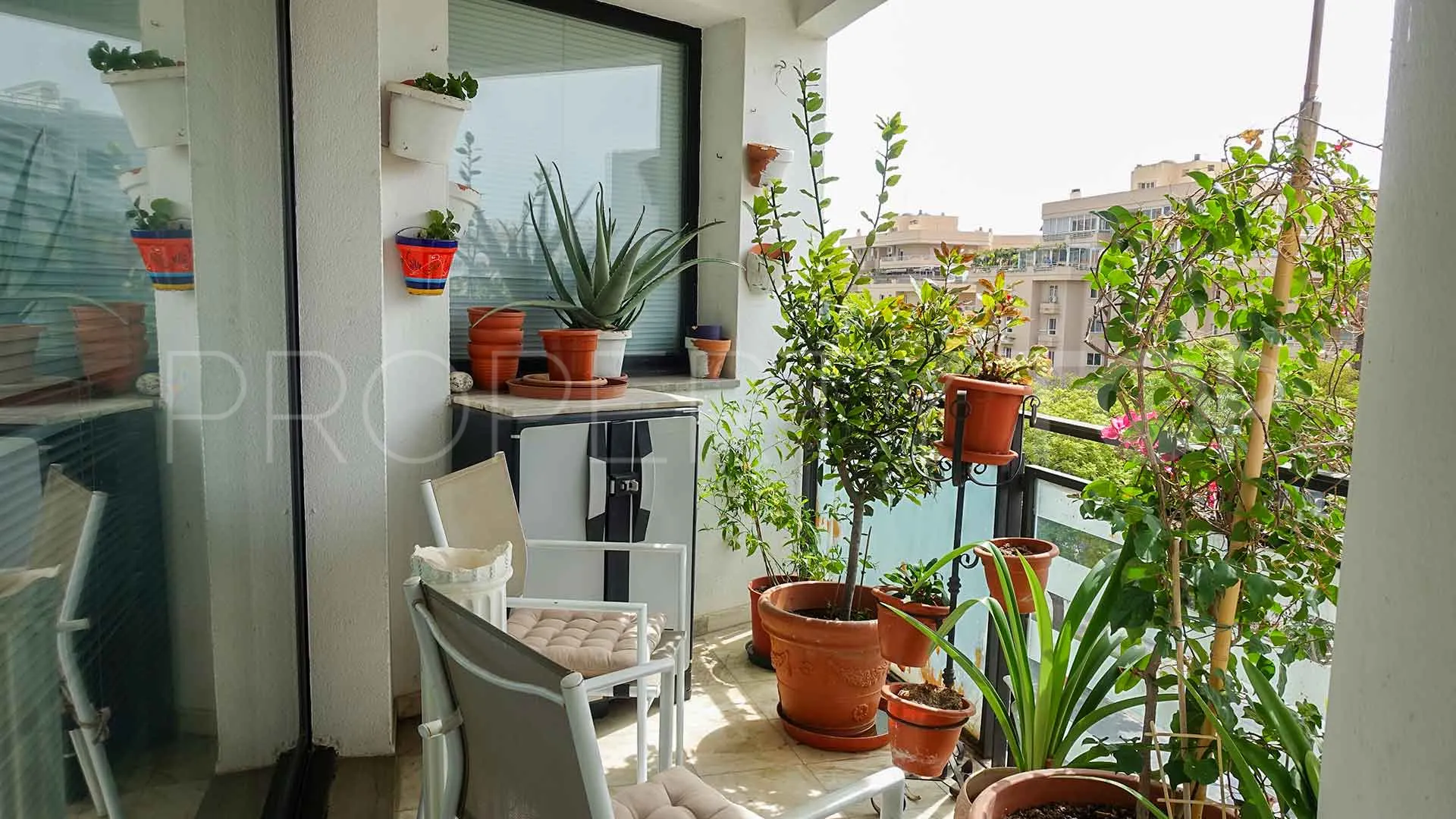 For sale apartment in Ricardo Soriano