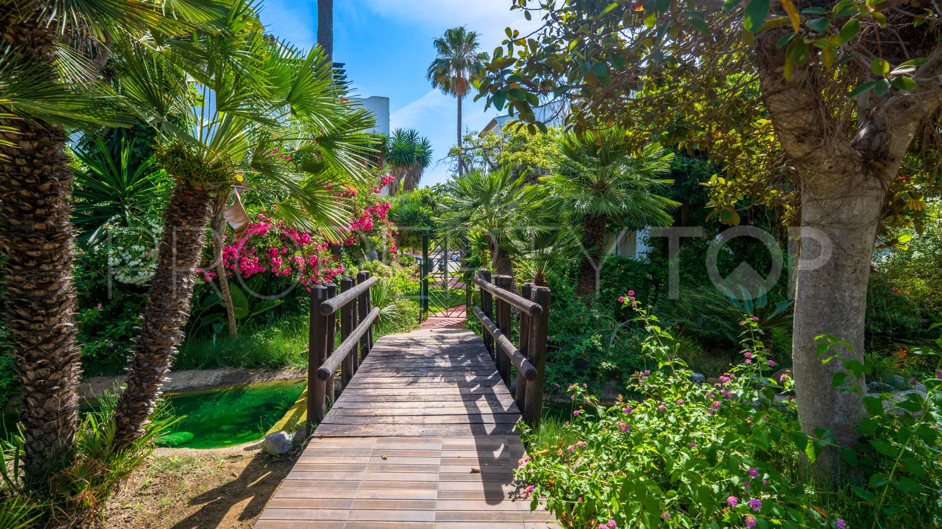 4 bedrooms Costalita apartment for sale