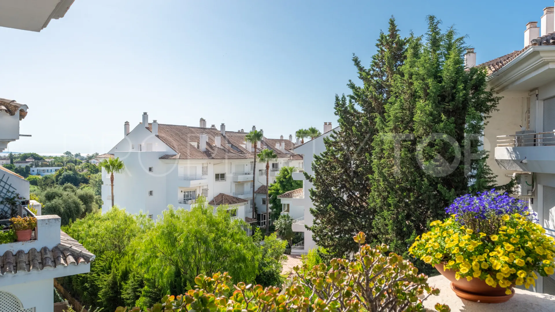 Guadalmina Baja duplex penthouse for sale