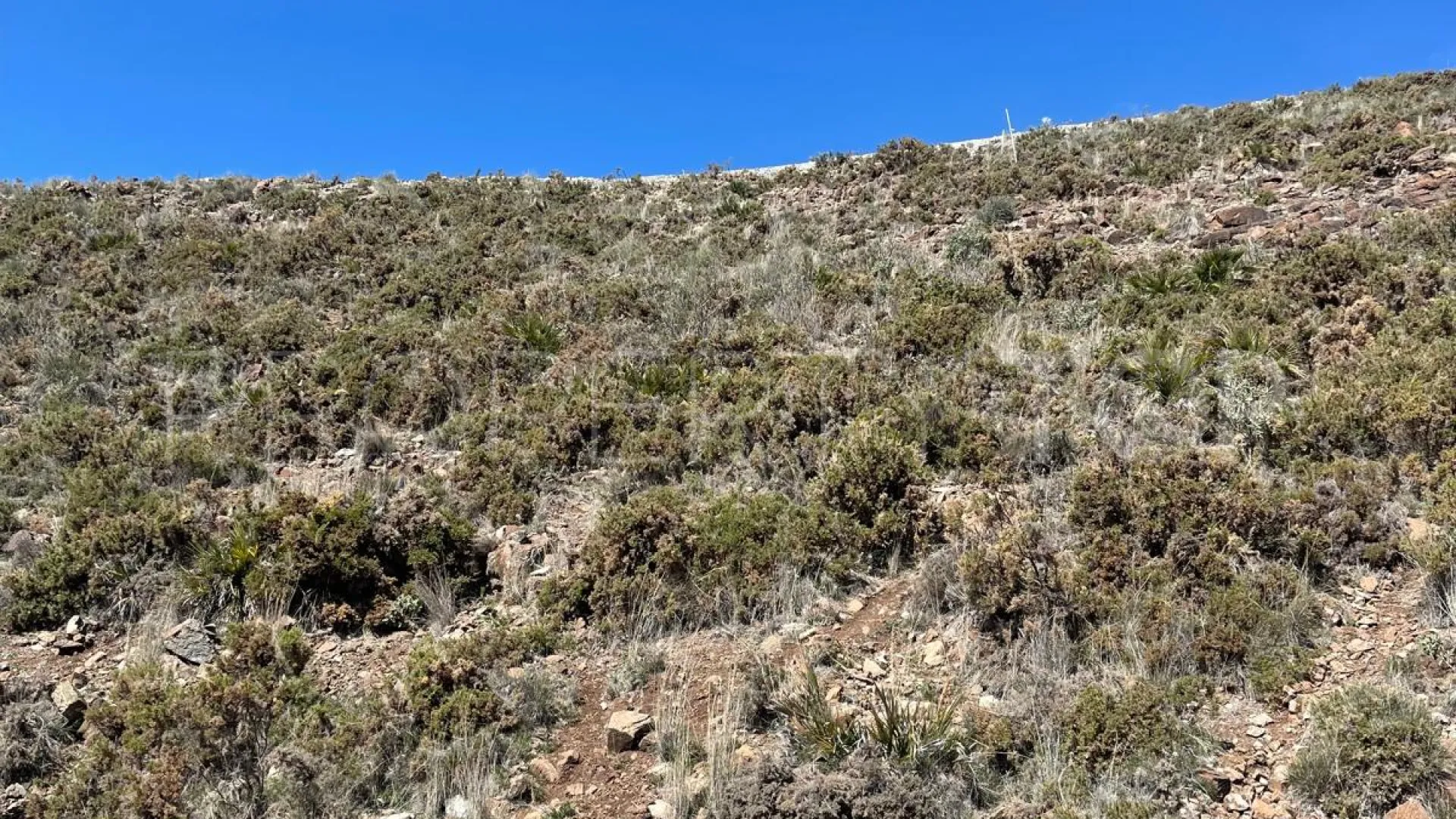 Plot in Real de La Quinta for sale