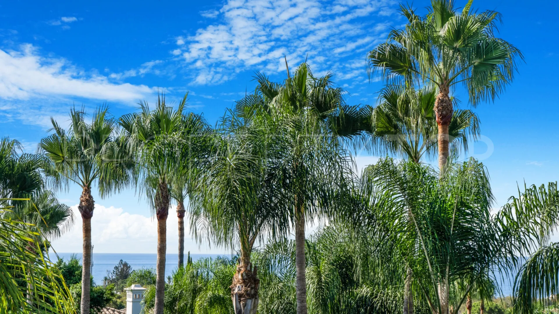 Buy villa with 5 bedrooms in Lomas de Magna Marbella