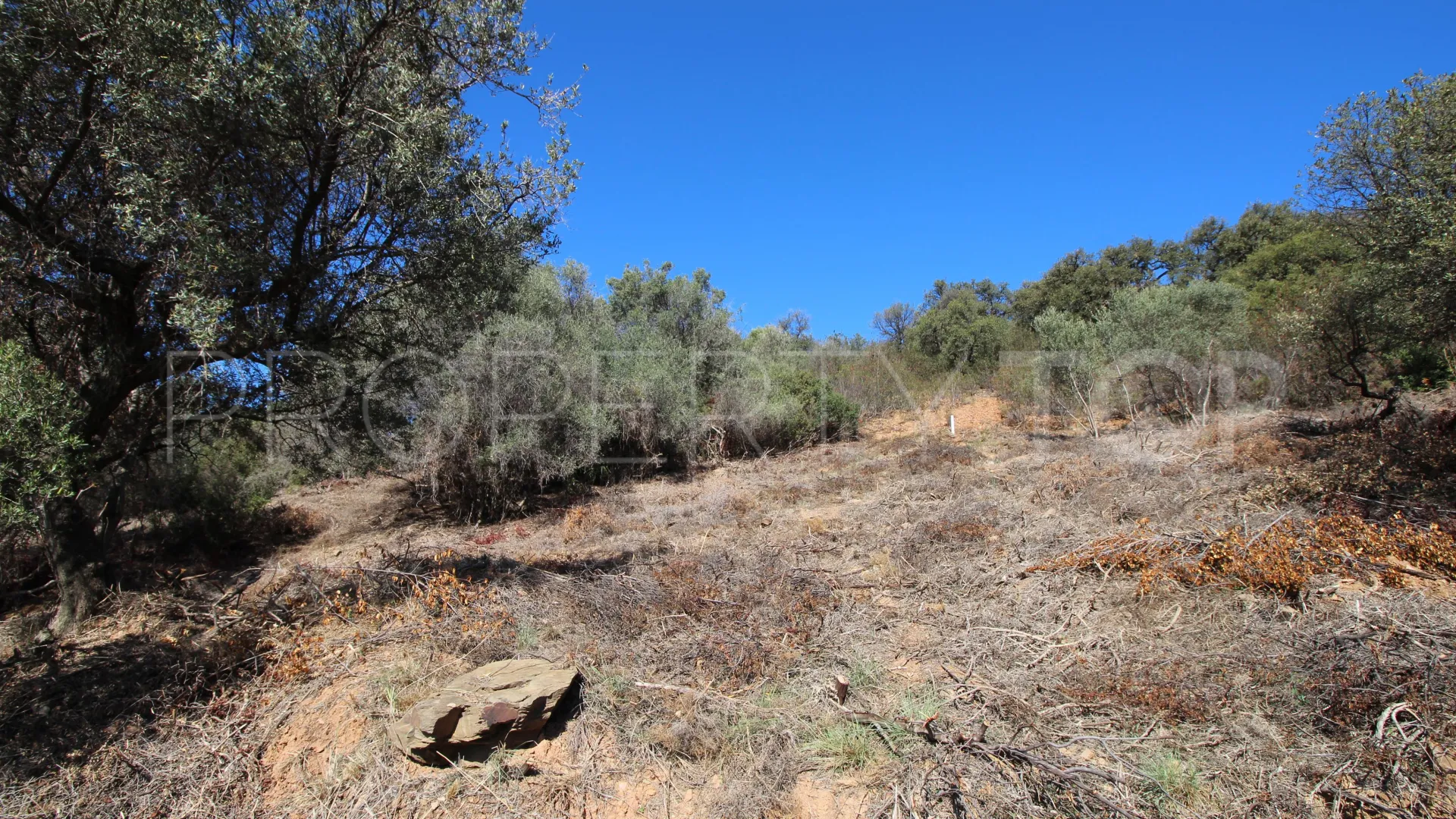 For sale plot in Los Altos de los Monteros