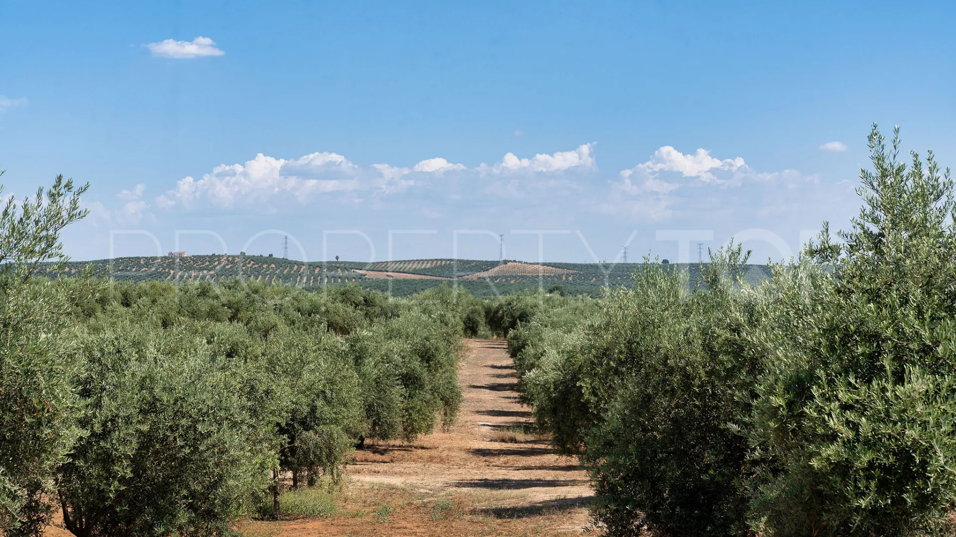 Marmolejo, finca de 6 dormitorios en venta