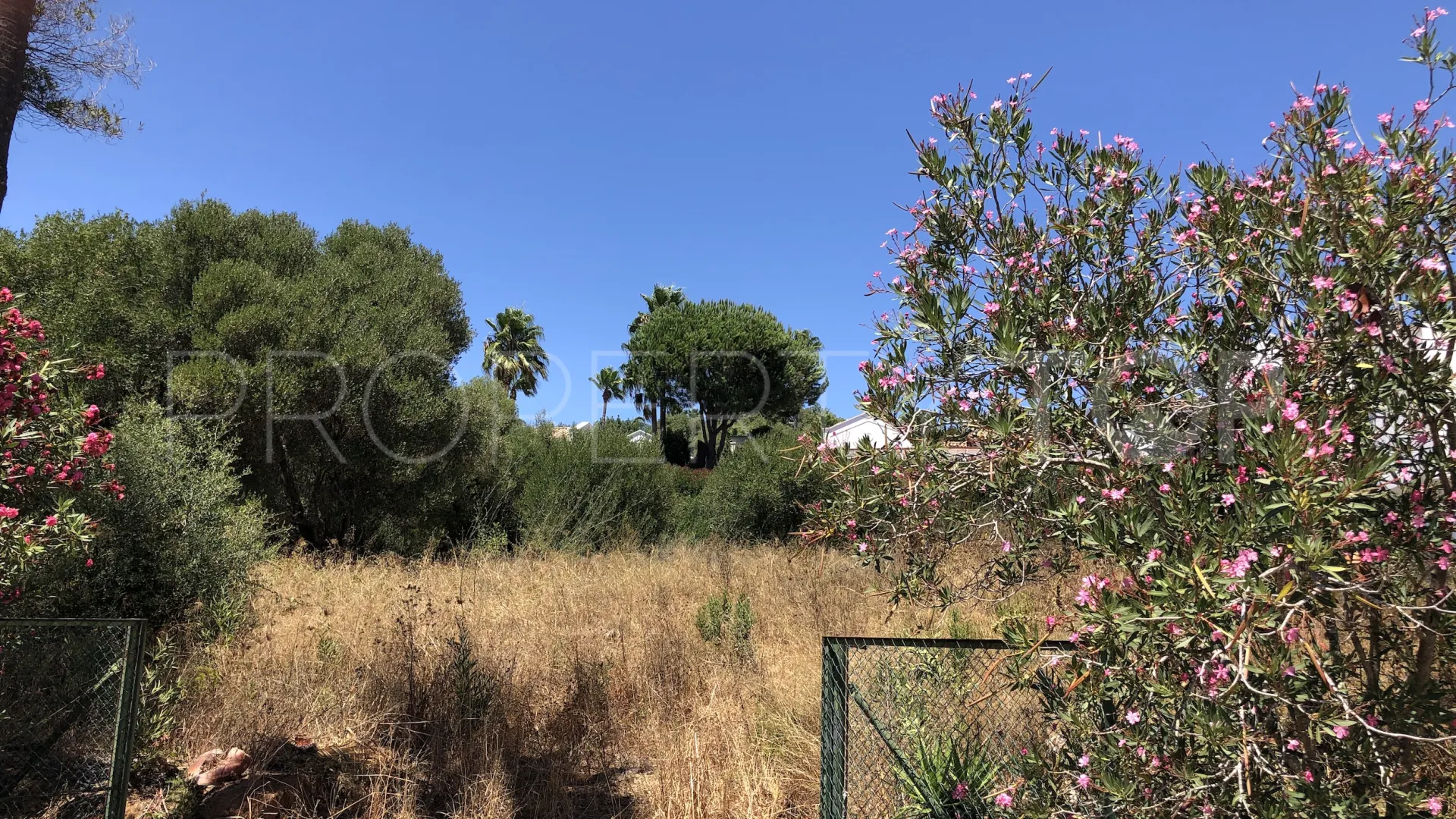 For sale plot in Zona F