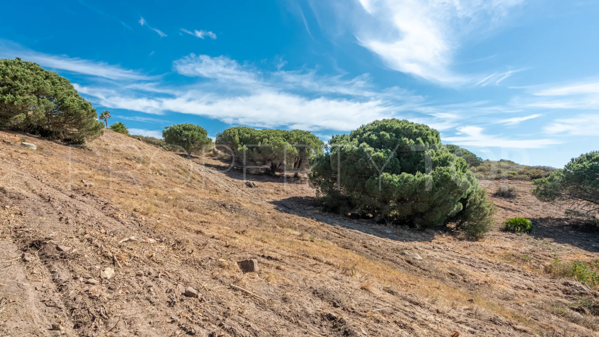 Zona M plot for sale