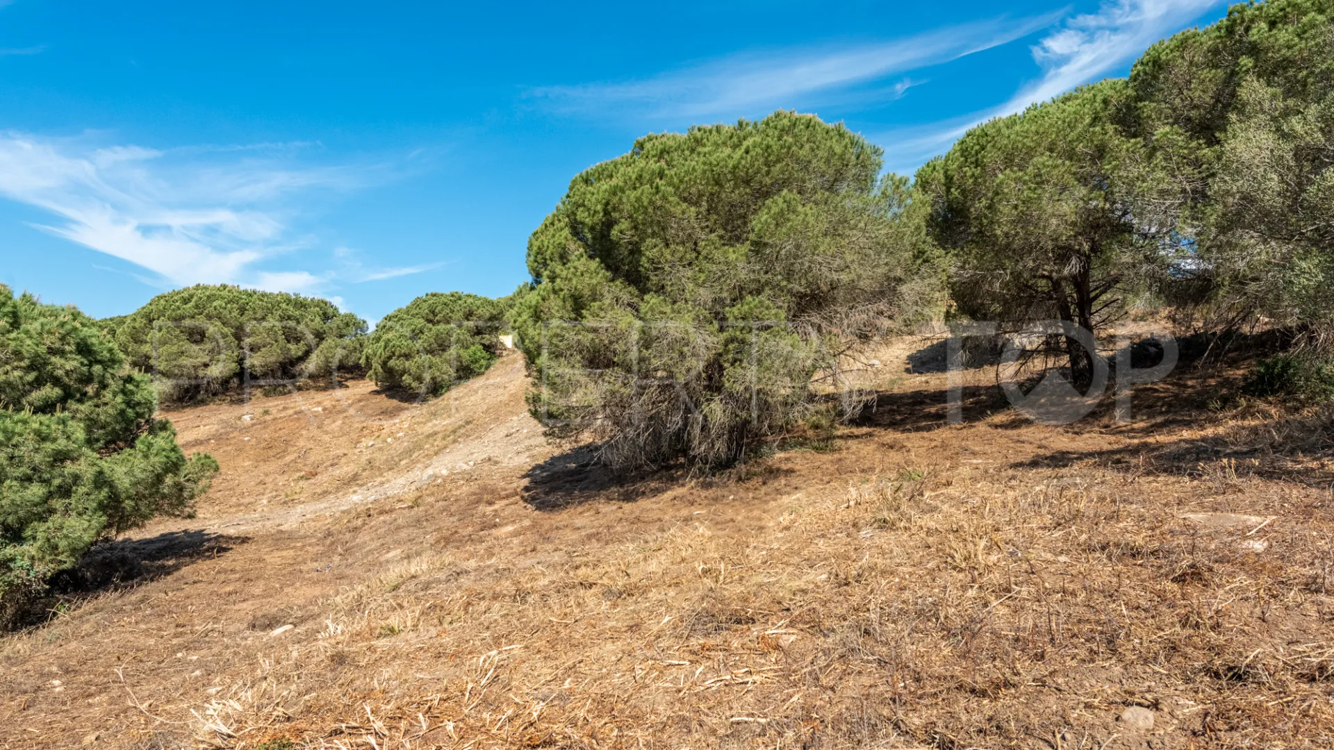 Zona M plot for sale