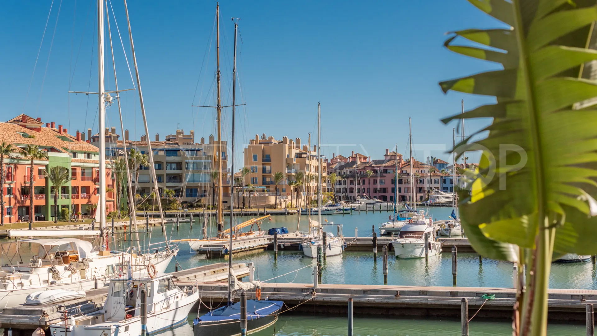 Jungla del Loro 5 bedrooms apartment for sale