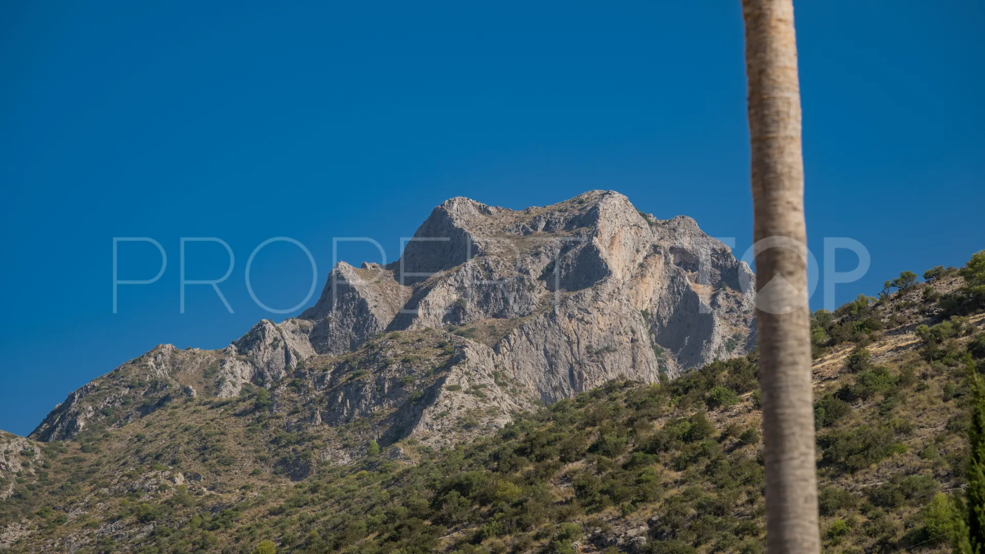 Buy villa in Sierra Blanca with 7 bedrooms