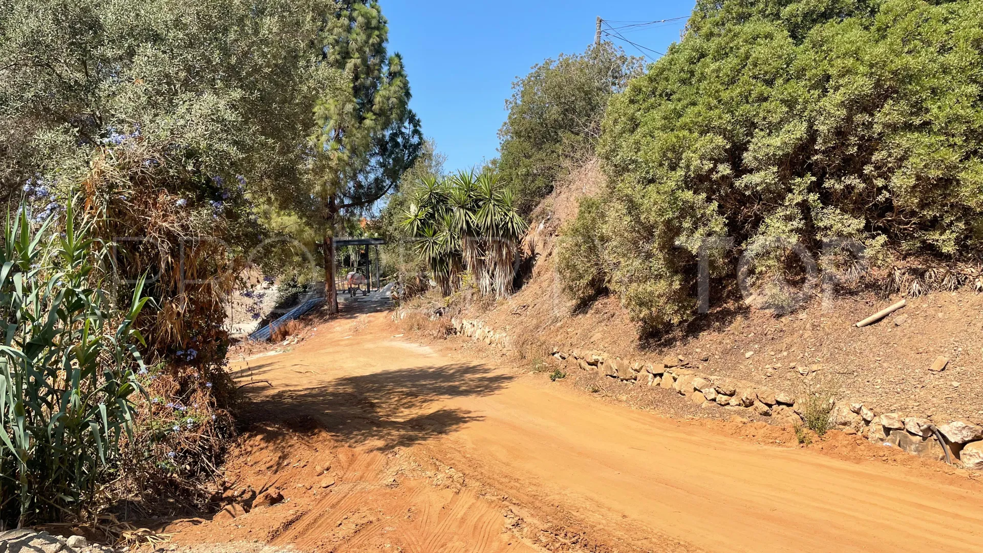 Parcela en venta de 5 dormitorios en El Rosario