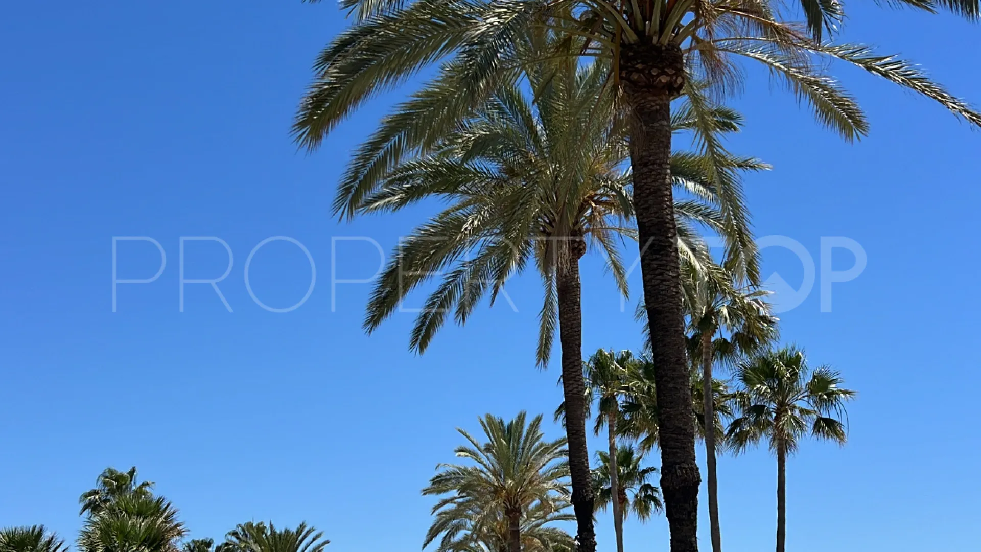 Comprar Ático de 3 dormitorios en San Pedro de Alcantara