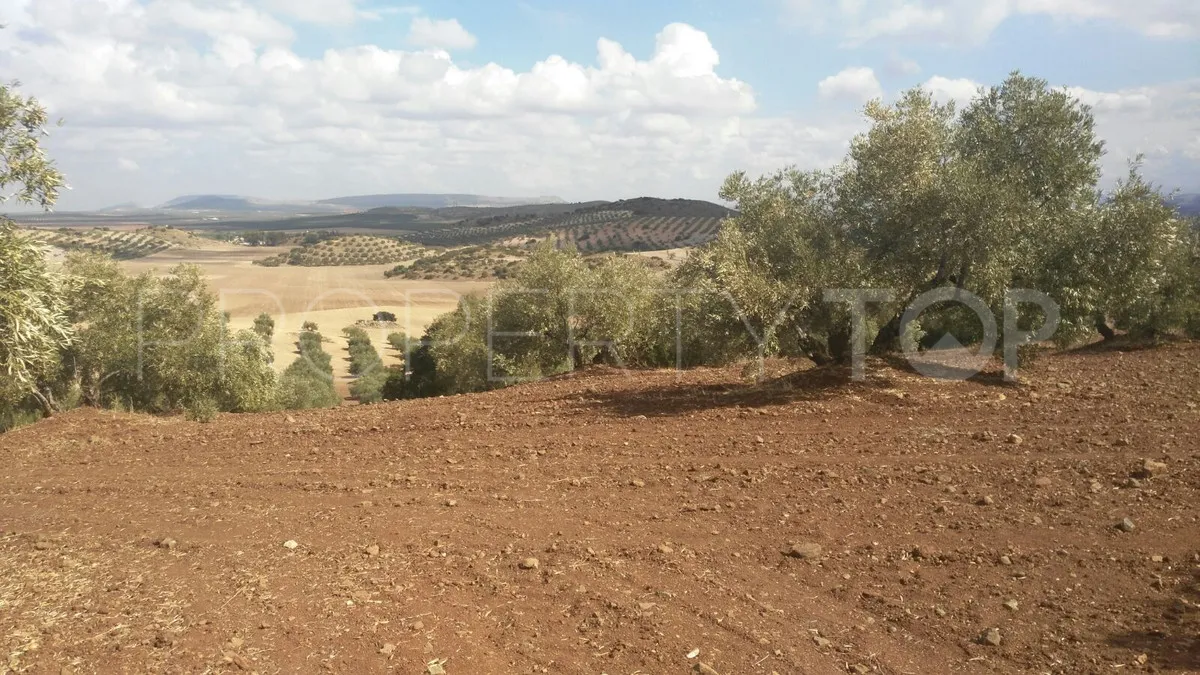 Finca with 8 bedrooms for sale in Antequera
