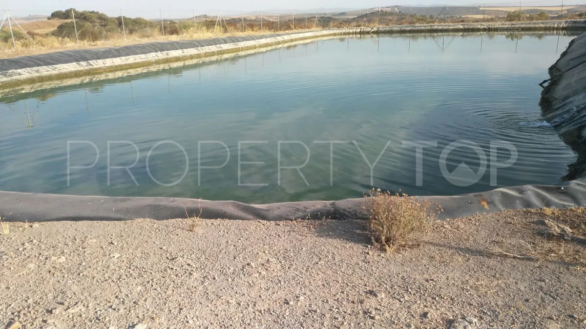 Finca with 8 bedrooms for sale in Antequera