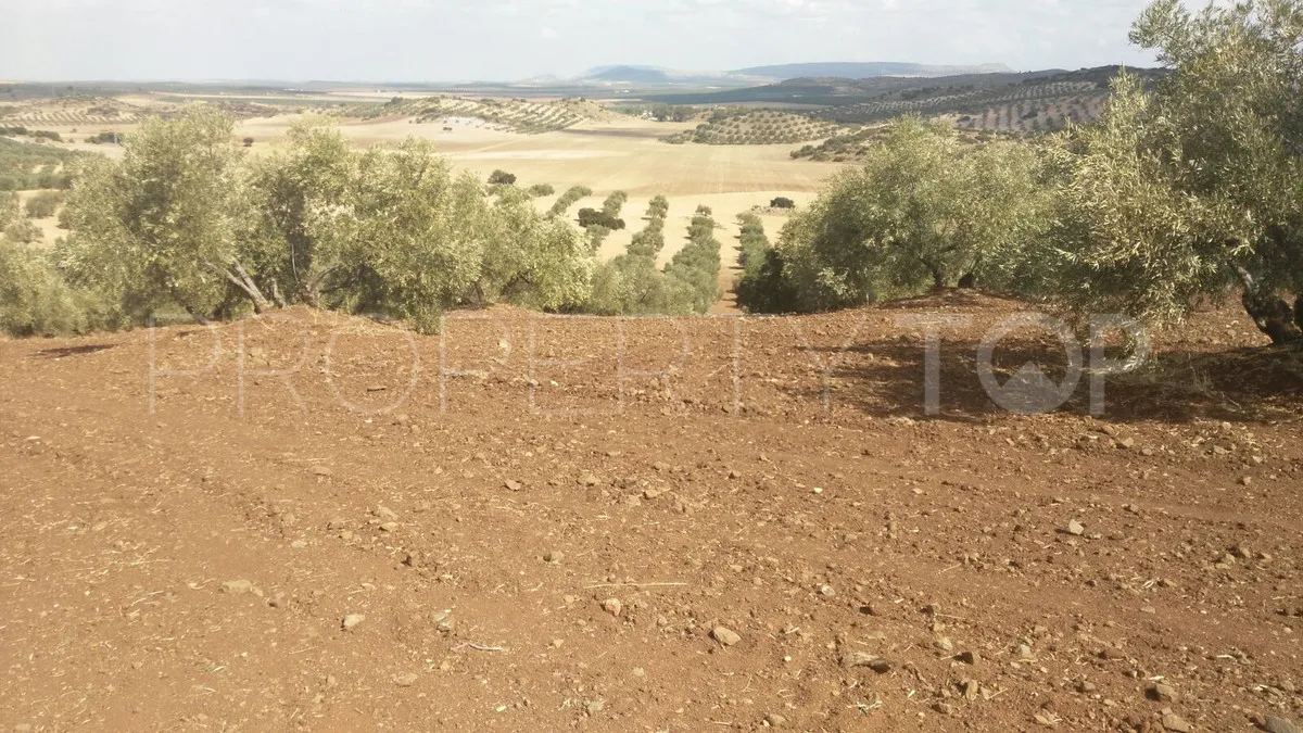 Finca with 8 bedrooms for sale in Antequera