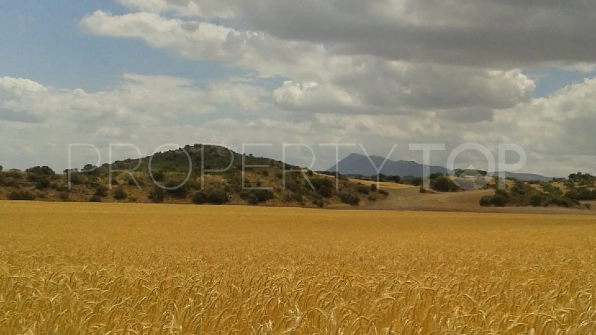 Finca with 8 bedrooms for sale in Antequera